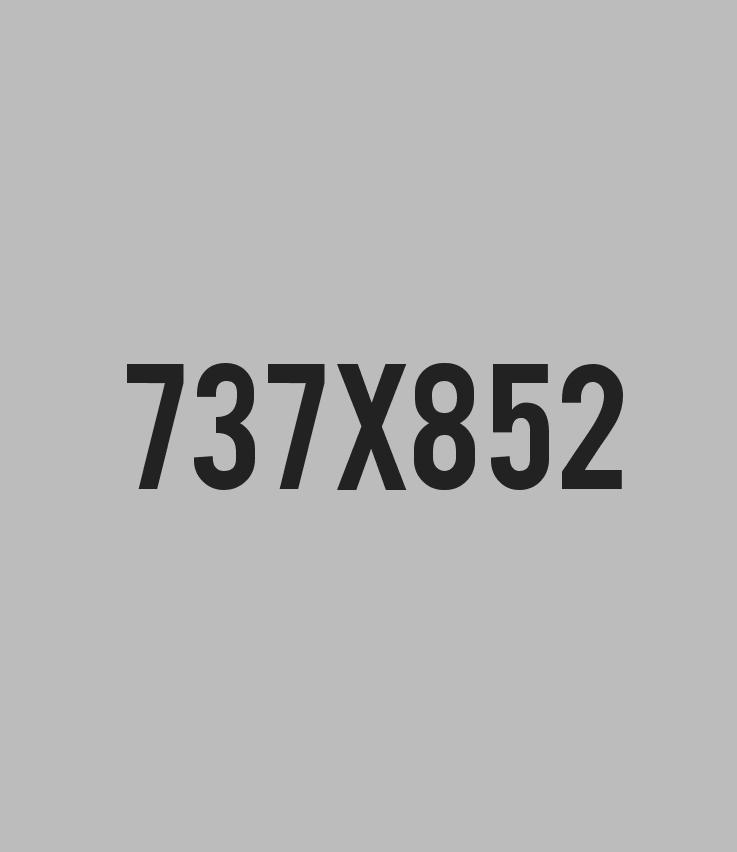 a1